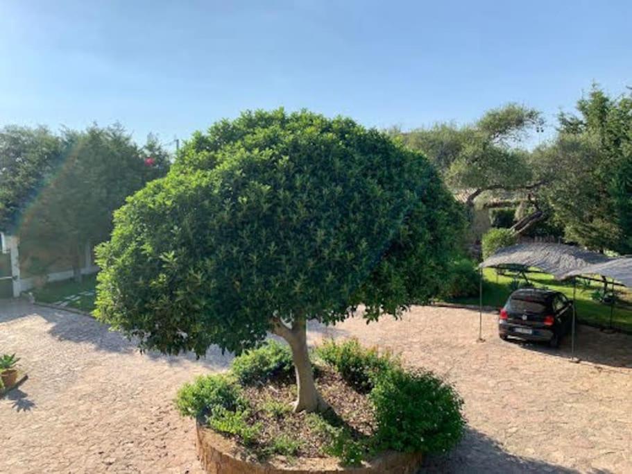 Apartmán Casa Magnolia Augusta Exteriér fotografie